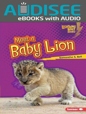 cover image of Meet a Baby Lion